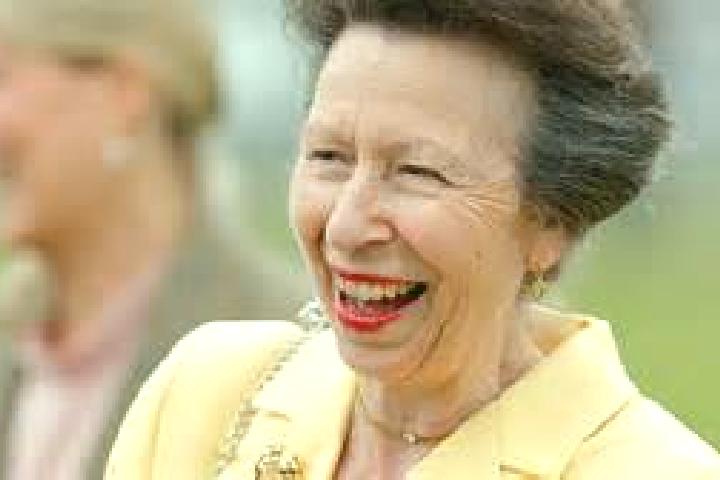 Escorts Princess Anne, United States — Local Companions