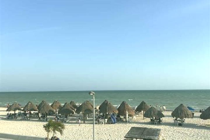 Escorts Progreso Bajo, Peru — Local Companions