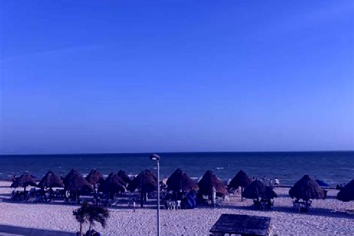 Escorts Progreso, Mexico — Local Companions