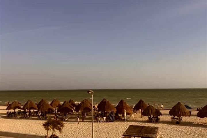 Escorts Progreso, Peru — Local Companions