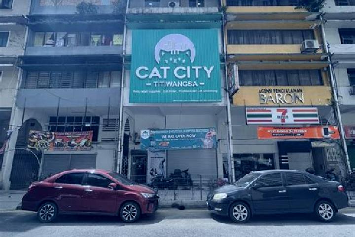 Escorts Proton City, Malaysia — Local Companions