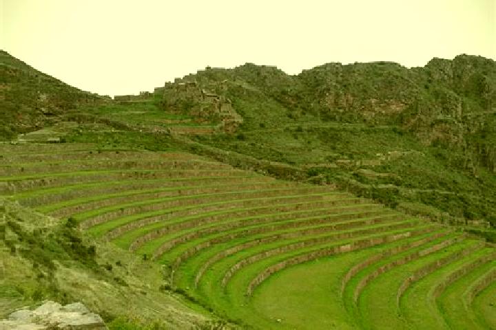 Escorts Pucara, Peru — Local Companions