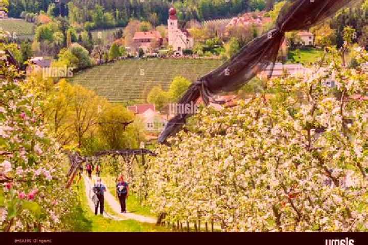 Escorts Puch bei Weiz, Austria — Local Companions