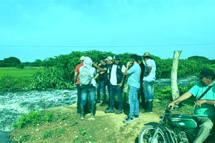 Escorts Puente Campuzano, Mexico — Local Companions