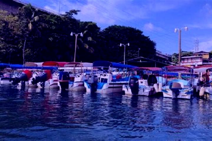 Escorts Puerto Barrios, Guatemala — Local Companions