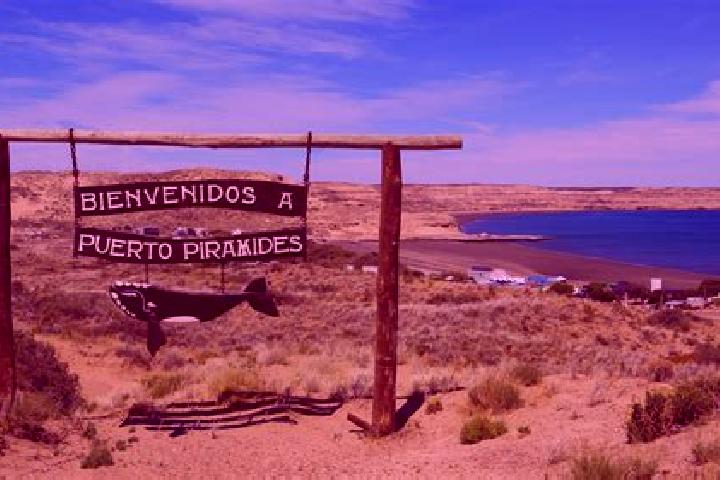 Escorts Puerto Piramides, Argentina — Local Companions