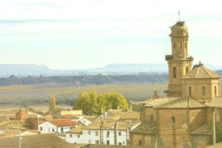 Escorts Pueyo de Santa Cruz, Spain — Local Companions