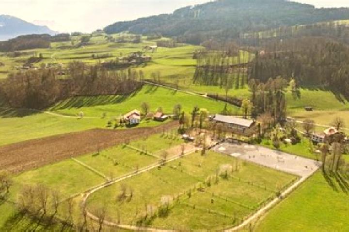 Escorts Puidoux, Switzerland — Local Companions