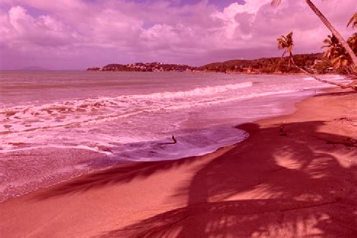 Escorts Punta Santiago, Puerto Rico — Local Companions
