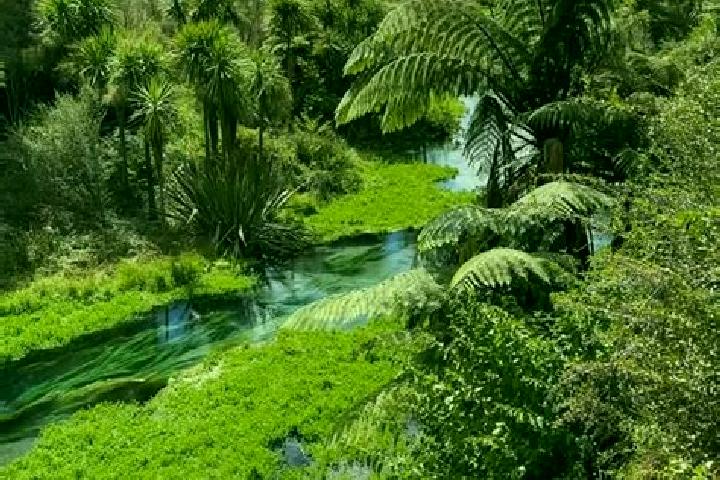 Escorts Putaruru, New Zealand — Local Companions
