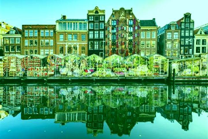 Escorts Putte, Netherlands — Local Companions