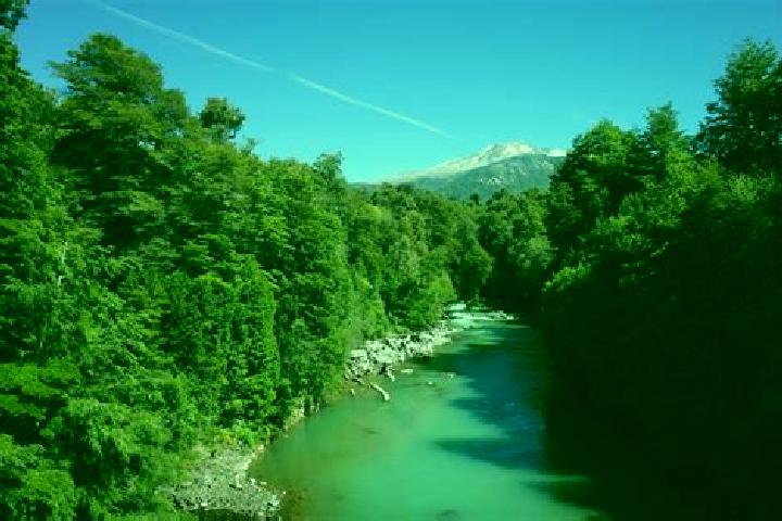 Escorts Puyehue, Chile — Local Companions