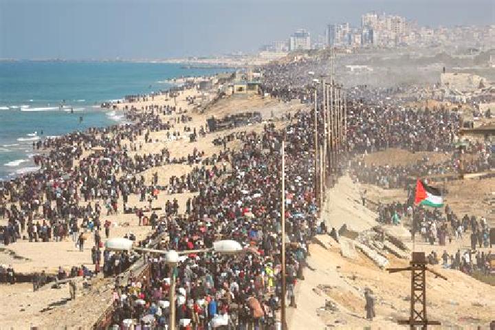 Escorts Qalandiya, Palestine — Local Companions