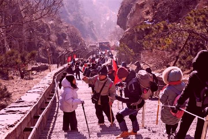 Escorts Qingshan, China — Local Companions