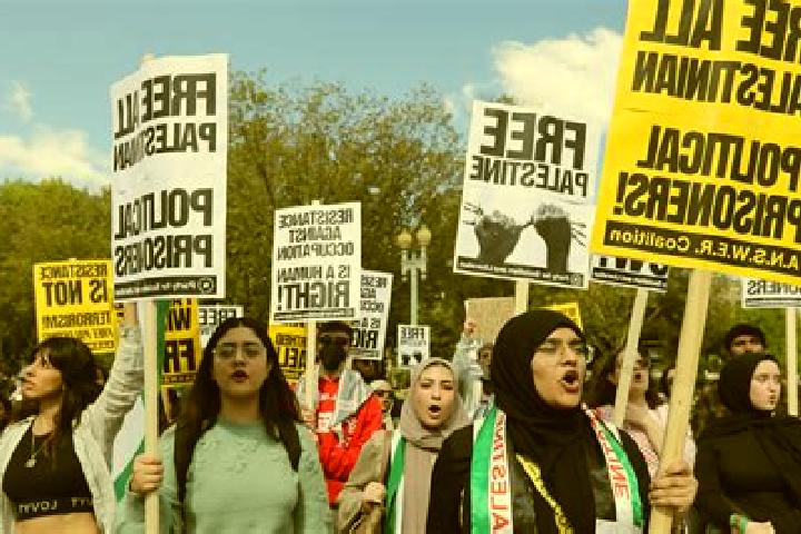 Escorts Qusrah, Palestine — Local Companions