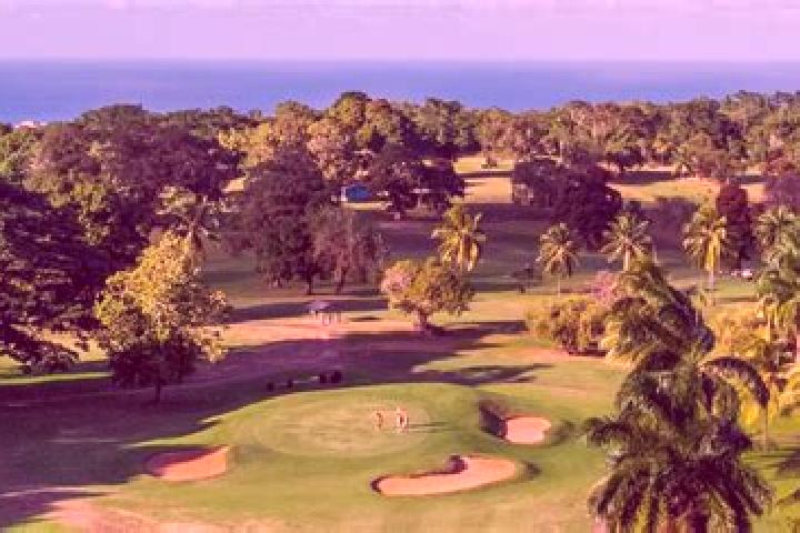 Escorts Race Course, Jamaica — Local Companions
