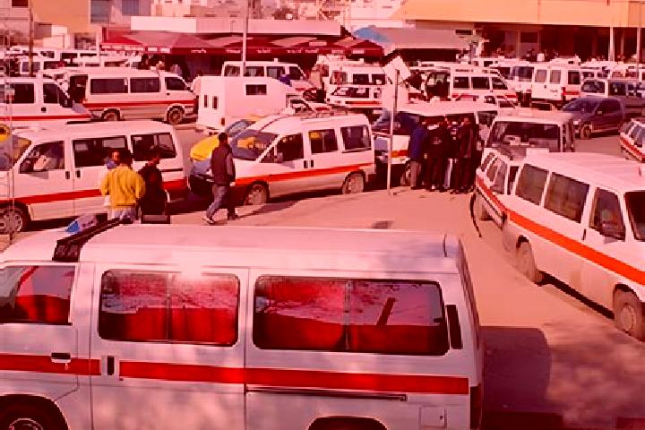 Escorts Rades, Tunisia — Local Companions