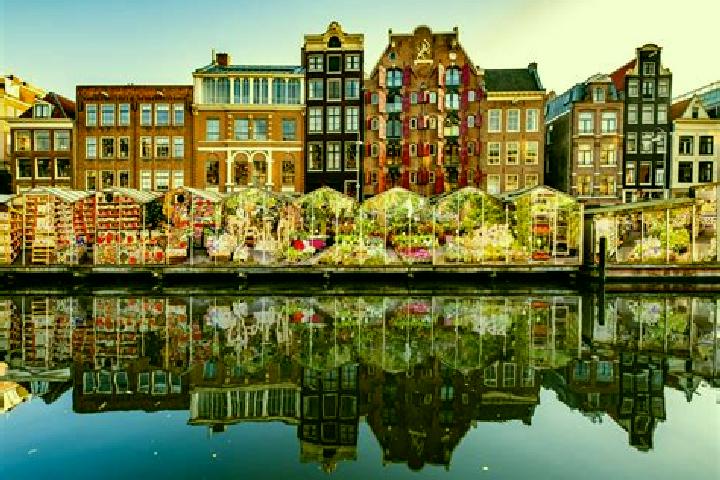 Escorts Radewijk, Netherlands — Local Companions