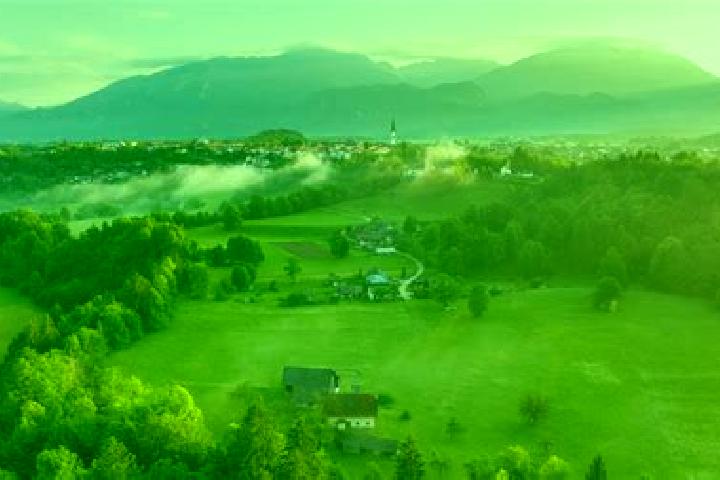 Escorts Radovljica, Slovenia — Local Companions