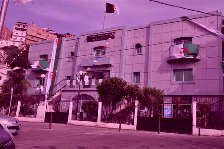 Escorts Rais Hamidou, Algeria — Local Companions