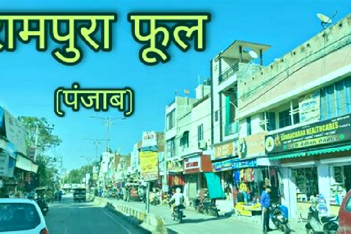 Escorts Rampura, India — Local Companions