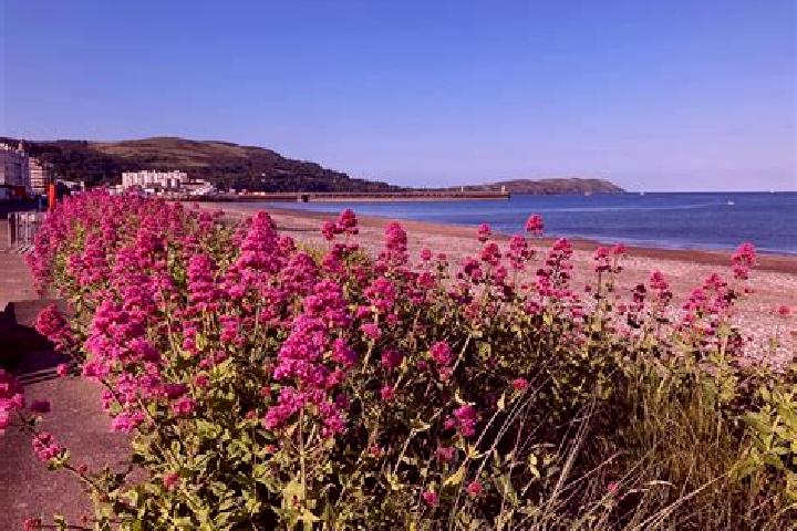 Escorts Ramsey, Isle of Man — Local Companions