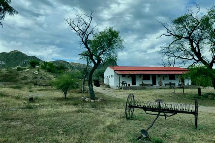 Escorts Rancho de Guadalupe, Mexico — Local Companions