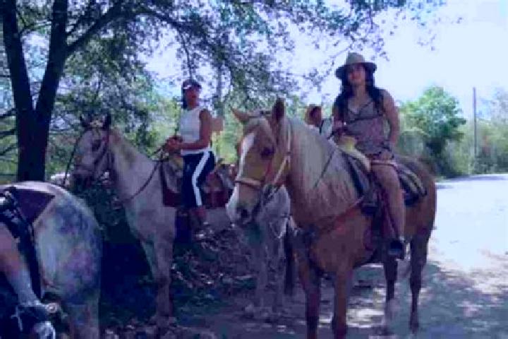 Escorts Rancho de Santiago, Mexico — Local Companions