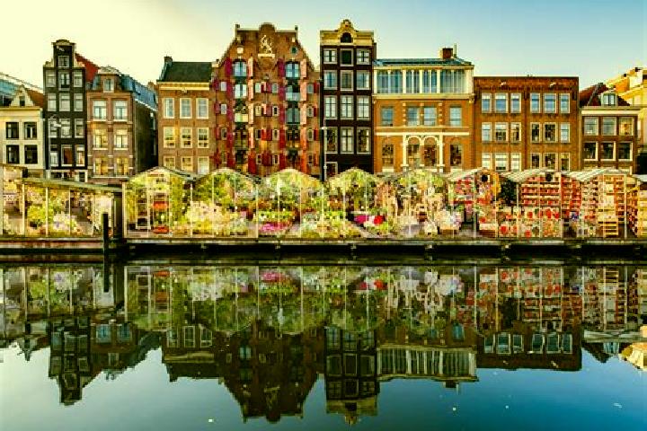 Escorts Randwijk, Netherlands — Local Companions