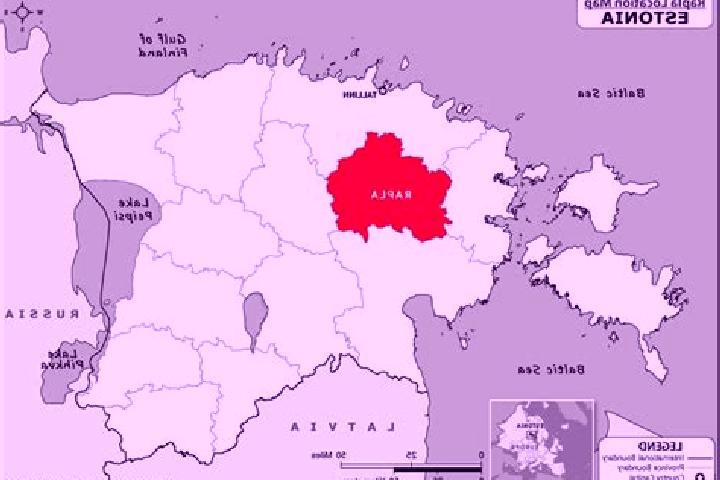 Escorts Rapla, Estonia — Local Companions