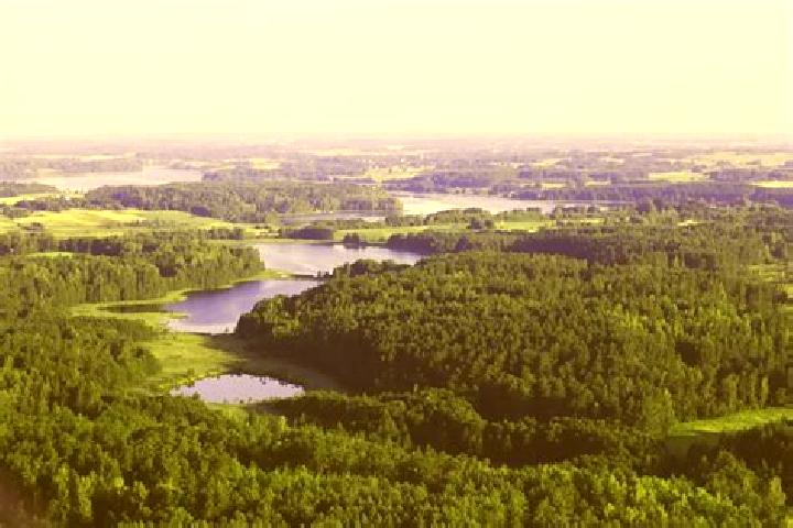 Escorts Raseiniai, Lithuania — Local Companions