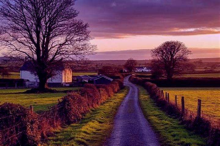 Escorts Rathdowney, Ireland — Local Companions