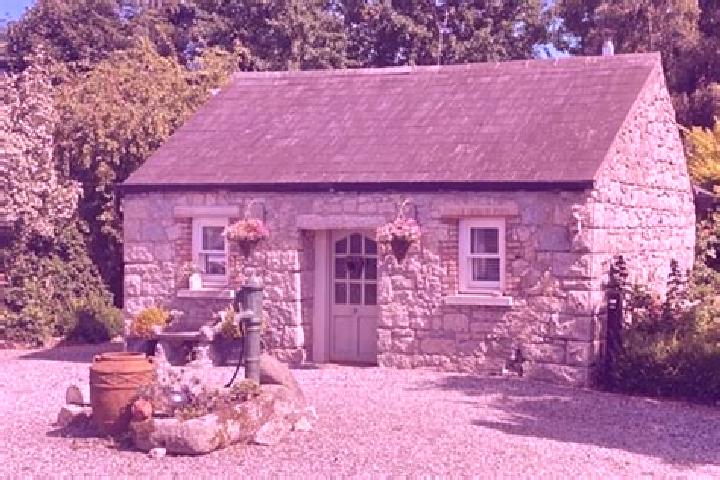 Escorts Rathvilly, Ireland — Local Companions