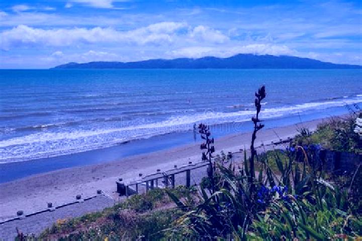 Escorts Raumati Beach, New Zealand — Local Companions