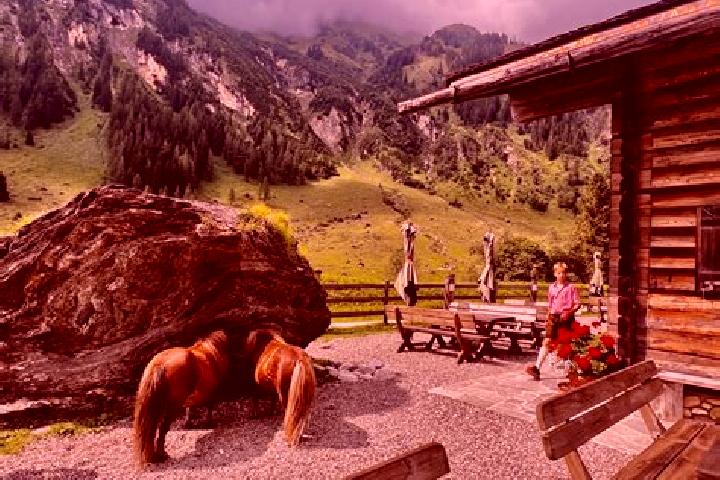 Escorts Rauris, Austria — Local Companions