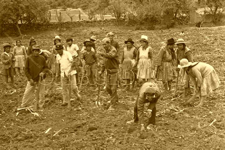 Escorts Reforma Agraria (El Pedregal), Mexico — Local Companions