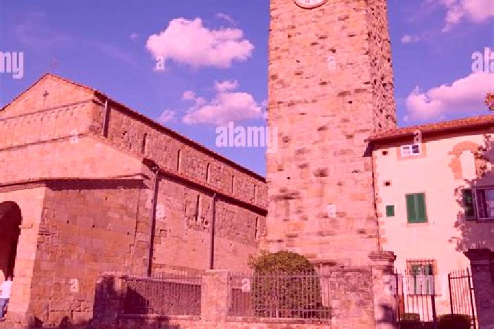 Escorts Reggello, Italy — Local Companions
