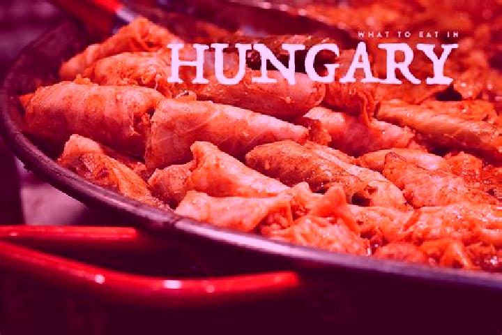 Escorts Regiakademiatelep, Hungary — Local Companions