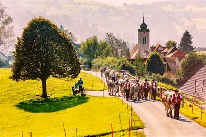 Escorts Rehetobel, Switzerland — Local Companions