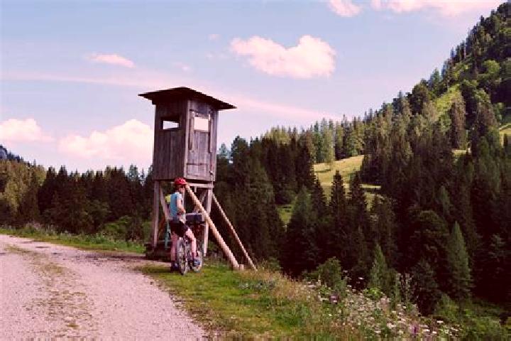 Escorts Reichraming, Austria — Local Companions