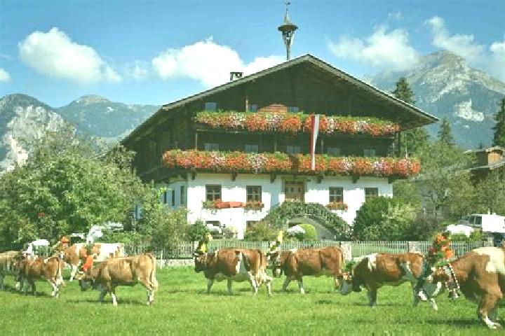 Escorts Reith im Alpbachtal, Austria — Local Companions