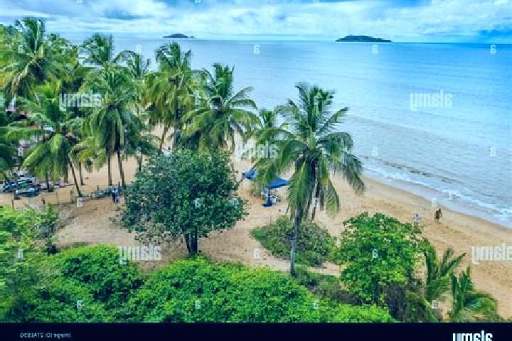 Escorts Remire, French Guiana — Local Companions