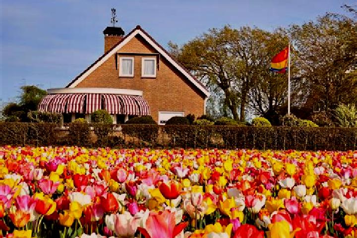 Escorts Renkum, Netherlands — Local Companions