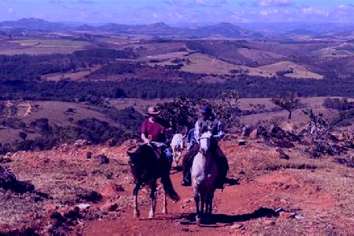 Escorts Riacho da Cruz, Brazil — Local Companions