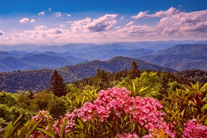 Escorts Ridge Spring, United States — Local Companions