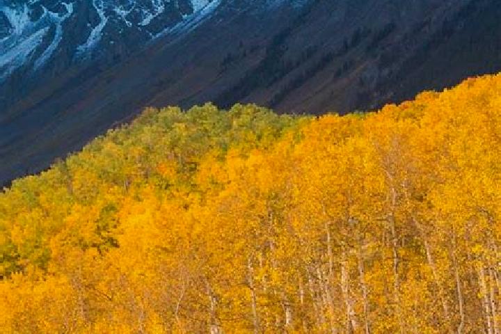 Escorts Ridgway, United States — Local Companions