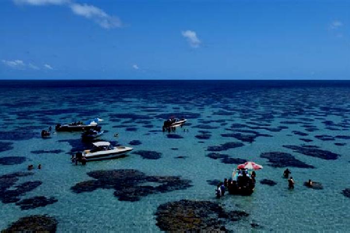 Escorts Rio do Fogo, Brazil — Local Companions