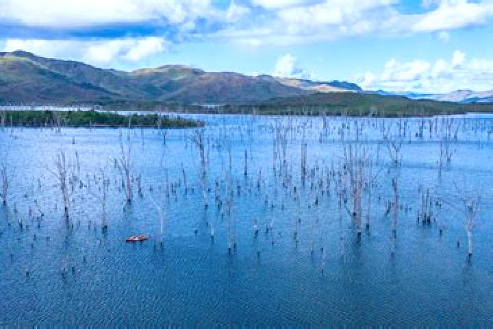 Escorts Riviere-Salee, New Caledonia — Local Companions
