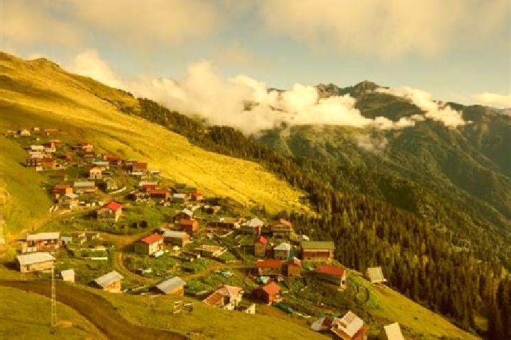 Escorts Rize, Turkey — Local Companions