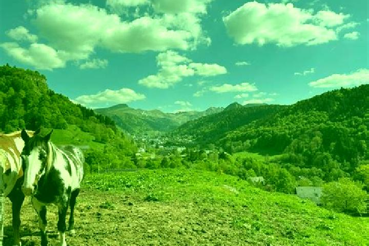 Escorts Rochefort-Montagne, France — Local Companions